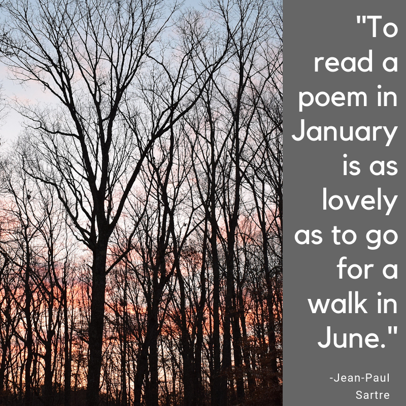 _To read a poem in January is as lovely as to go for a walk in June._.png